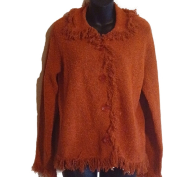 Dress Barn 23% wool burnt orange sweater. Fringe yarn style. Size large. - Picture 1 of 8